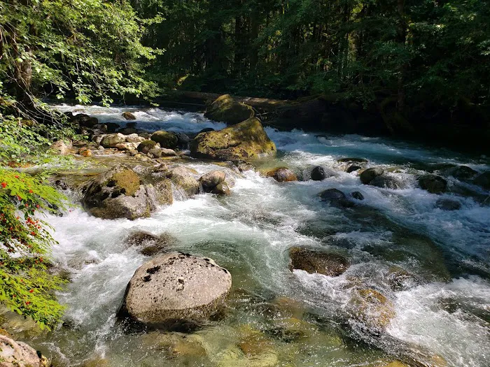 Buck Creek Campground 5