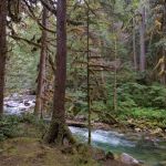 East Side Buck Creek Campground