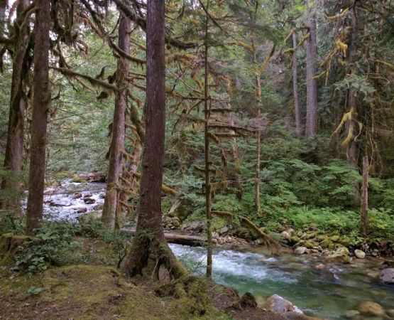 East Side Buck Creek Campground