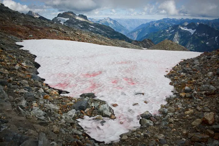 Sahale Glacier Campground 9