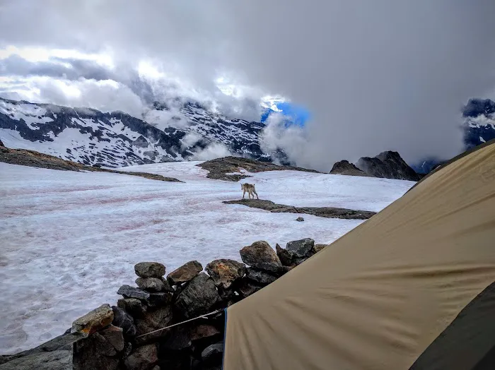 Sahale Glacier Campground 7