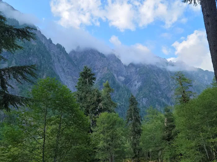 Enchanted Valley 4