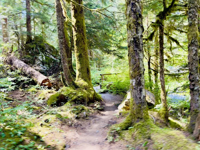 Enchanted Valley 3