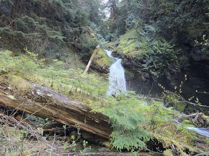 Enchanted Valley 5