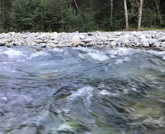 Pyrites Creek