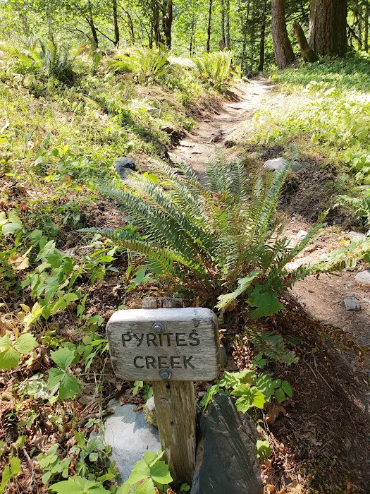 Pyrites Creek 6