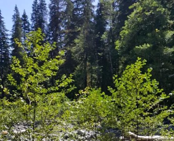 Elip Creek
