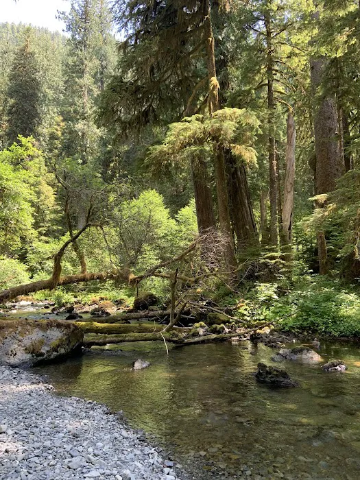 Campbell Tree Grove Campground 3