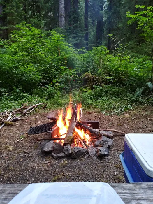 Campbell Tree Grove Campground 5