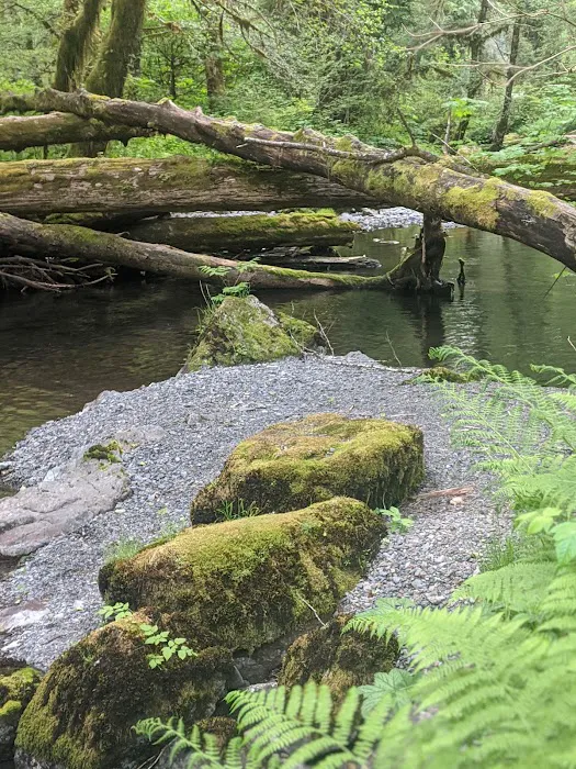 Campbell Tree Grove Campground 2