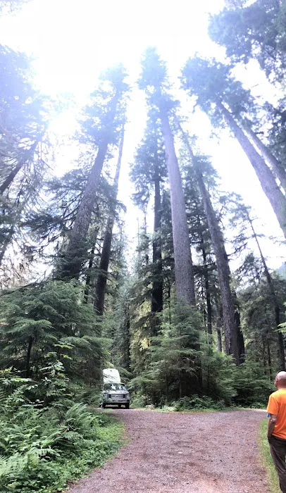 Campbell Tree Grove Campground 9