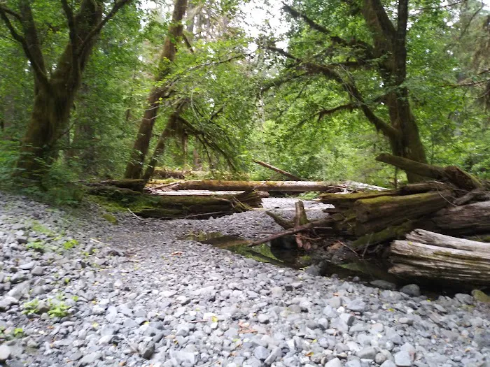 Campbell Tree Grove Campground 0