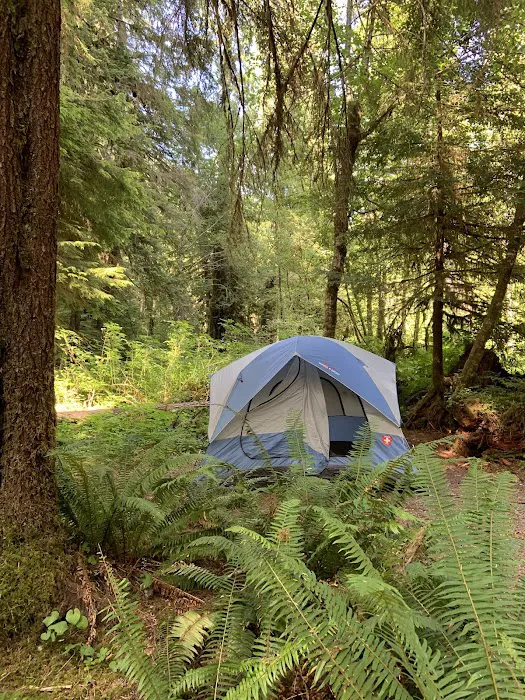 Campbell Tree Grove Campground 6