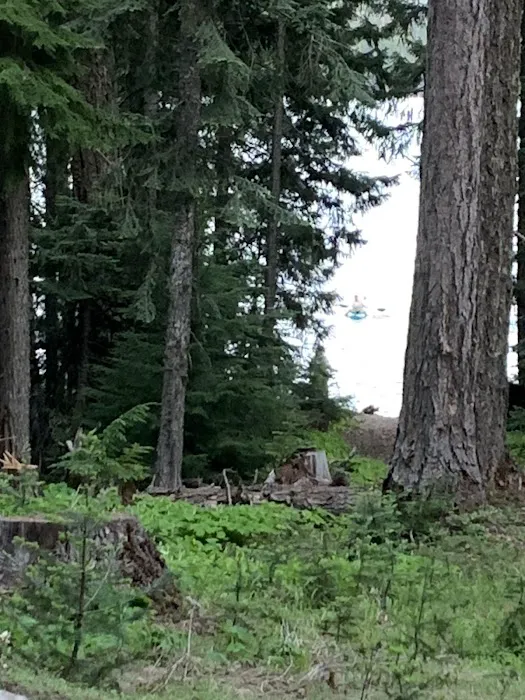 Bumping Lake Campground 4