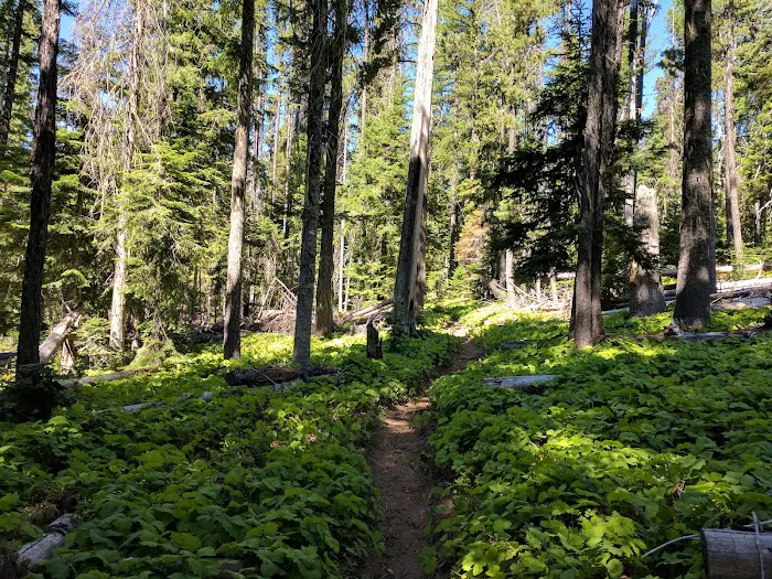 Boat Landing Campground 5