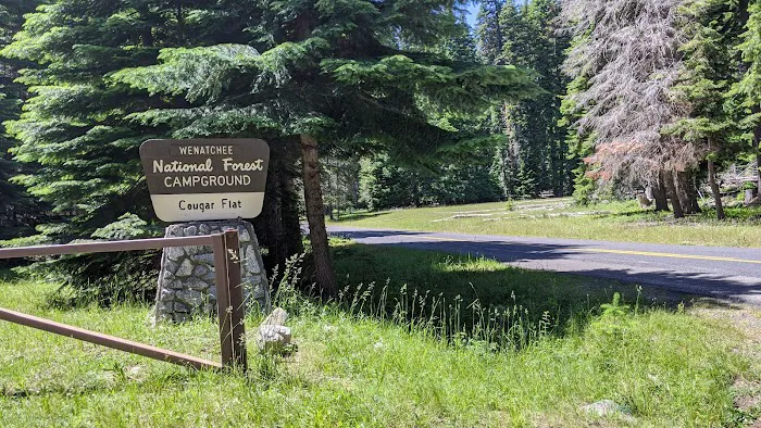 Cougar Flat Campground 8