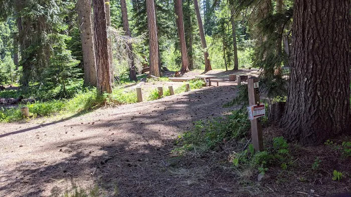 Cougar Flat Campground 4