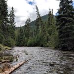 Cougar Flat Campground