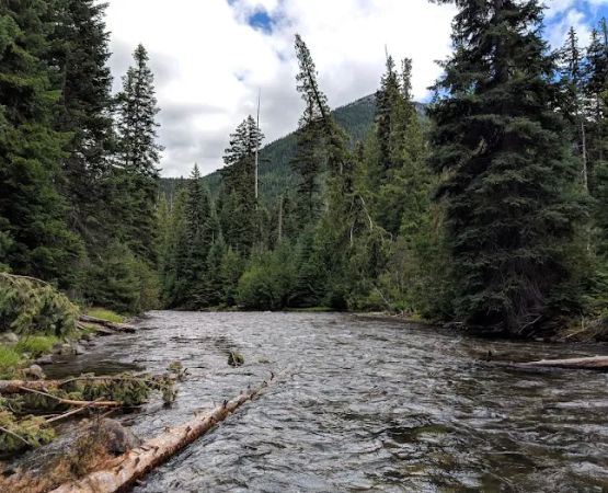 Cougar Flat Campground