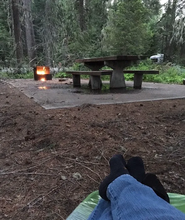 Pine Needle Group Site 8