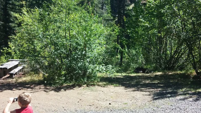 Pine Needle Group Site 3