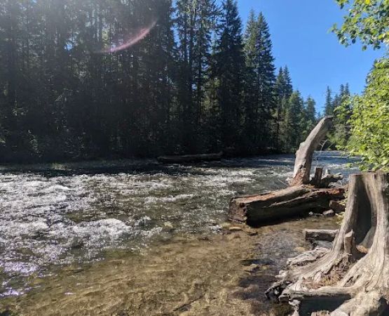 Cedar Springs Campground