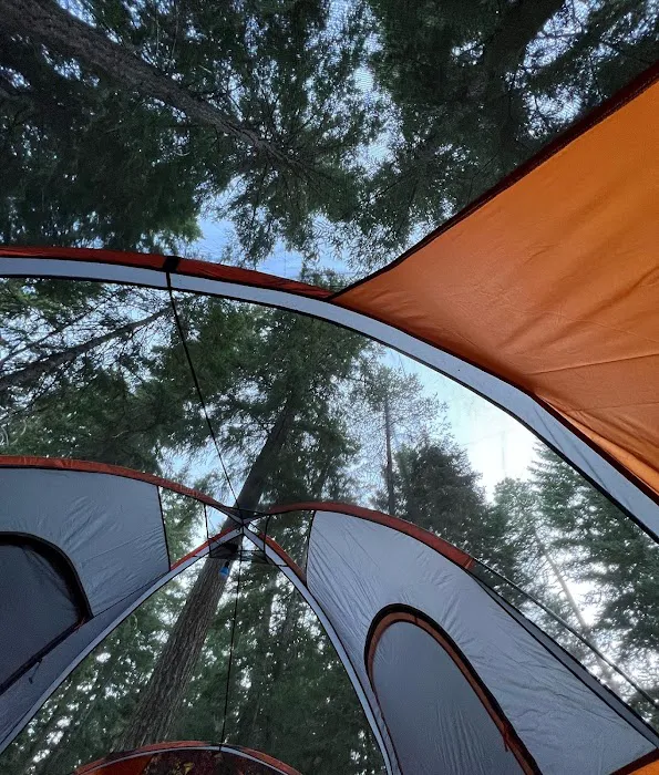 Cedar Springs Campground 9