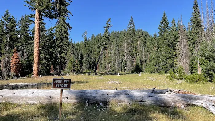 Four Way Meadows 1
