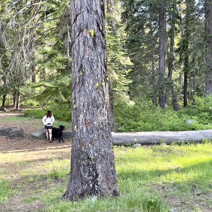 Crow Creek Campground 4
