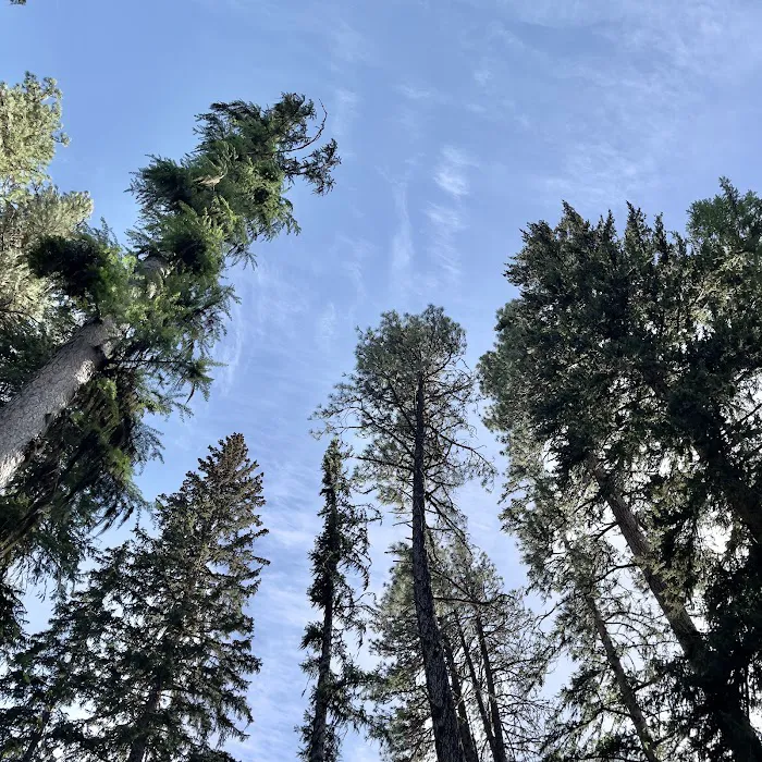 Crow Creek Campground 2