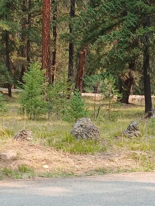 Crow Creek Campground 1