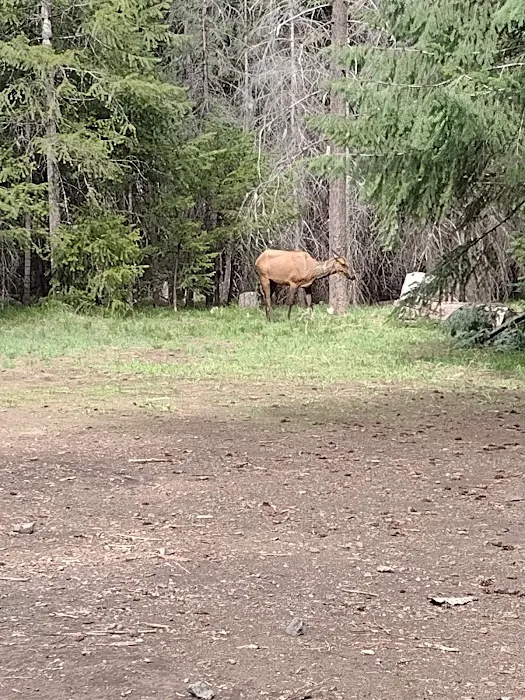 Crow Creek Campground 9