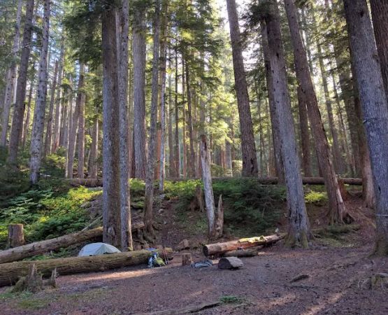 Upper Duckabush