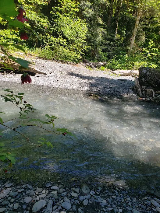 Nine Stream 1