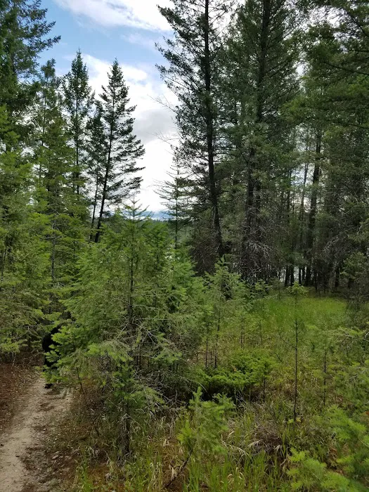 Rexford Bench Campground 5