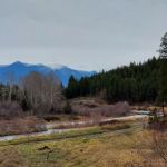 Tobacco River Campground