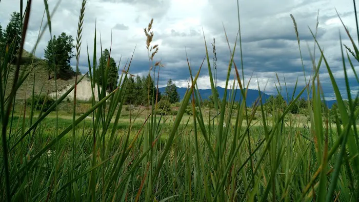 Tobacco River Campground 7