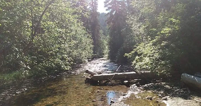 CAMP 32 Campground 2