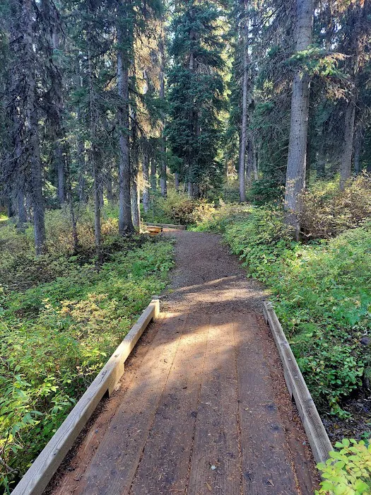 Therriault Lake Campground 7