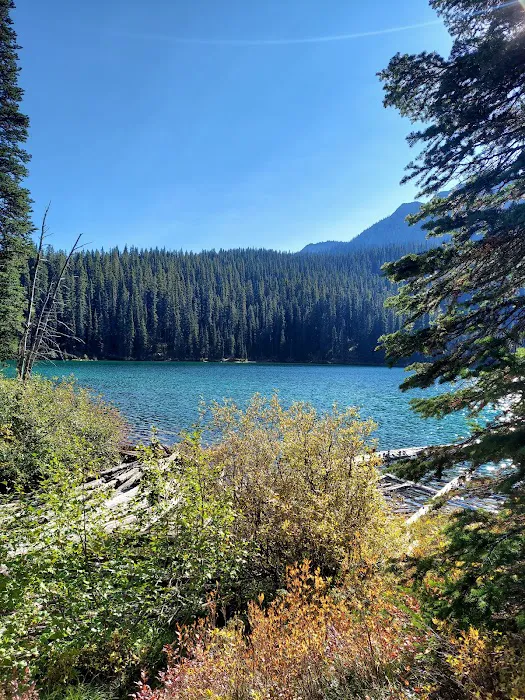Therriault Lake Campground 3