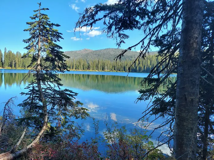 Therriault Lake Campground 1
