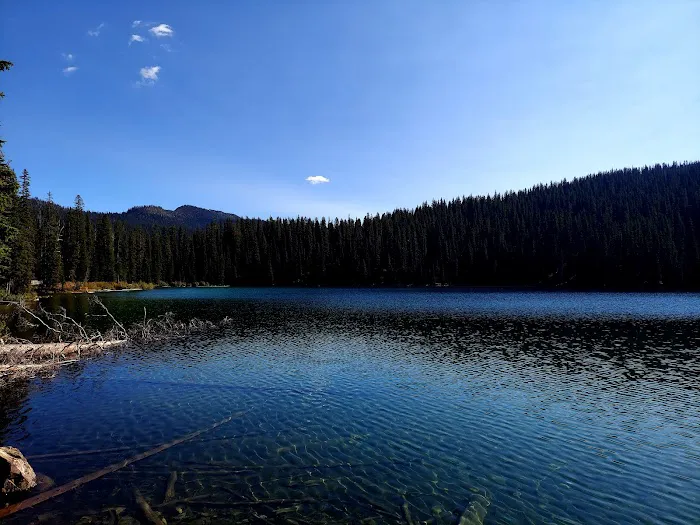 Therriault Lake Campground 0