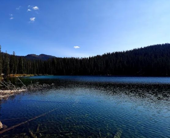 Therriault Lake Campground