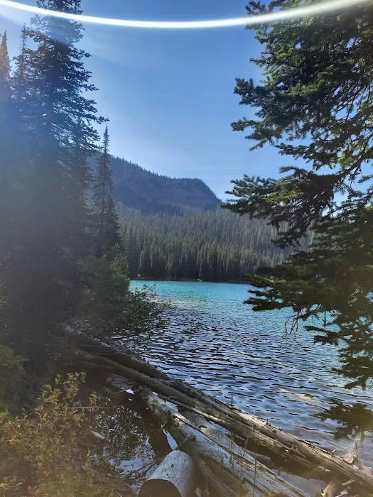Therriault Lake Campground 5