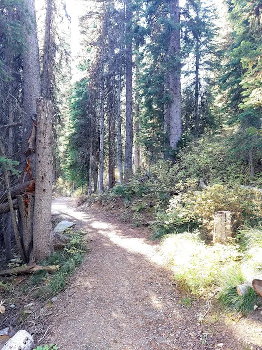 Therriault Lake Campground 6