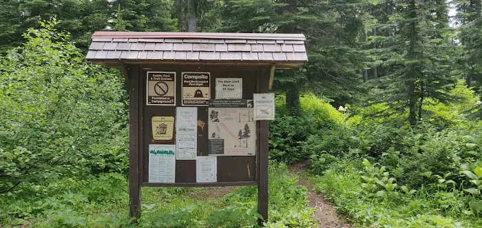 Little Therriault Lake Campground 0