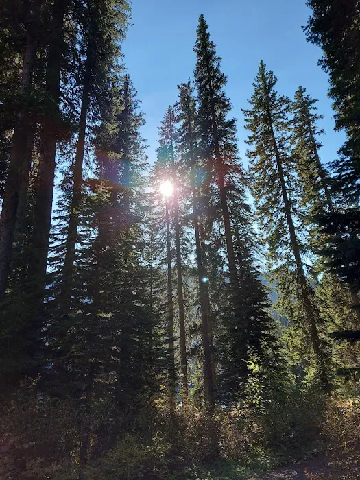 Little Therriault Lake Campground 6