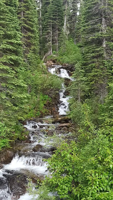 Big Therriault Campground 3