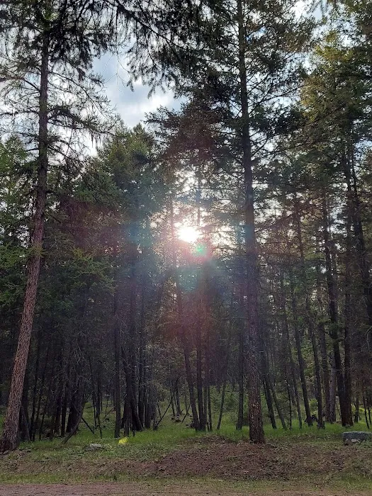 Rock Lake Campground 4