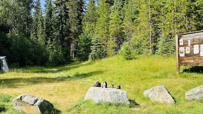 Caribou Campground 5